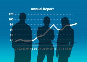 Annual Corporate Statement of Information